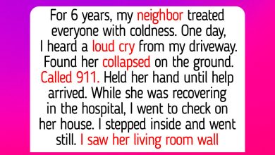 12 Sweet Moments Proving Why True Kindness Always Breaks Through the Thickest Walls