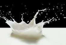 The rise and rise of precision-fermented lactoferrin