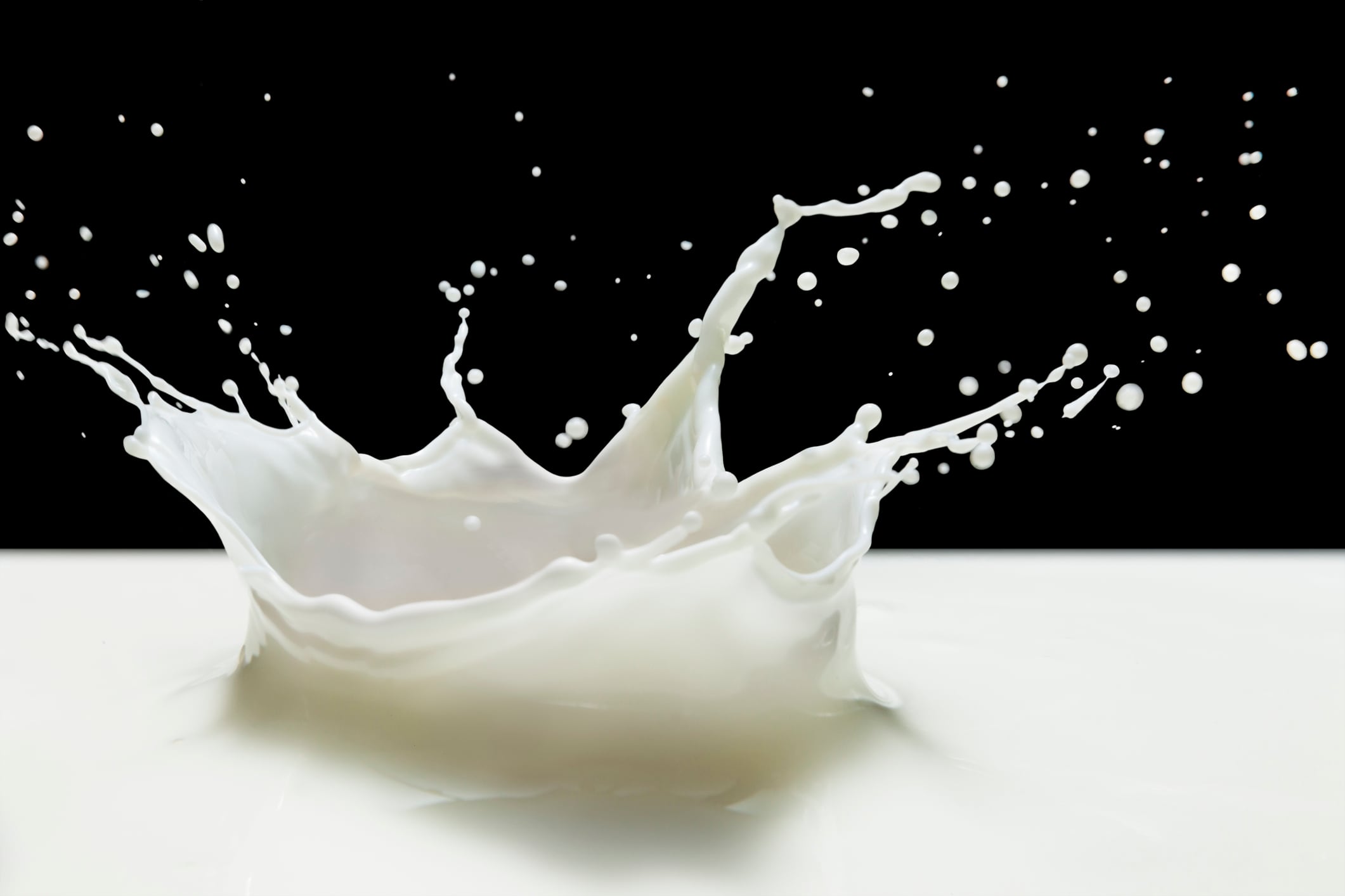 The rise and rise of precision-fermented lactoferrin