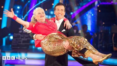 Ann Widdecombe: Brexit-backing former minister turned Strictly star