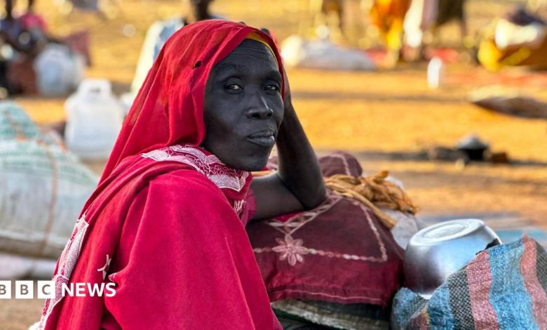 International court tells BBC of breakthrough in Sudan war crimes probe