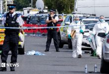 Inquiry to focus on ‘violence-fixated individuals’