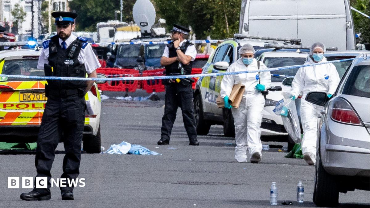 Inquiry to focus on ‘violence-fixated individuals’