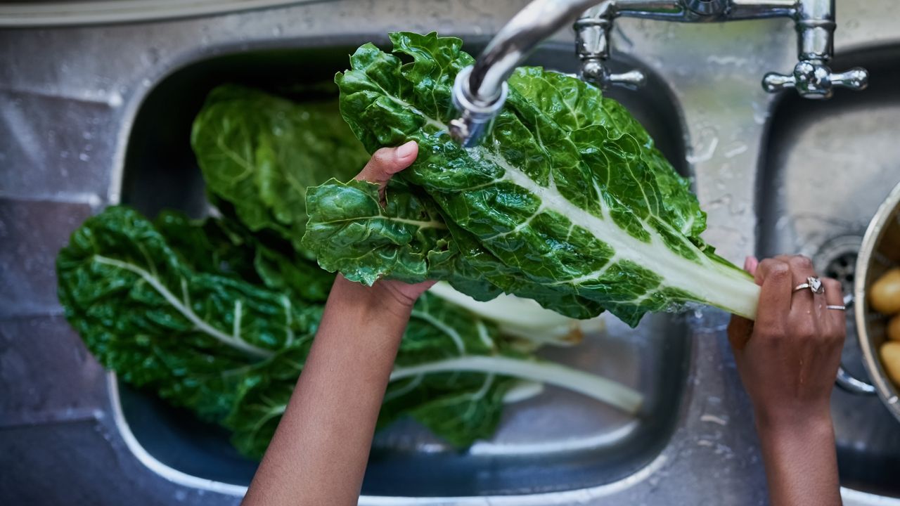 How to Minimize Your Risk to Foodborne Parasite Cyclospora