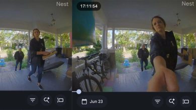 NY man sues DHS after agents tracked him for sending an email to the head of ICE