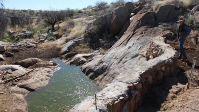 Ancient rock structures help restore biodiversity on the US-Mexico border