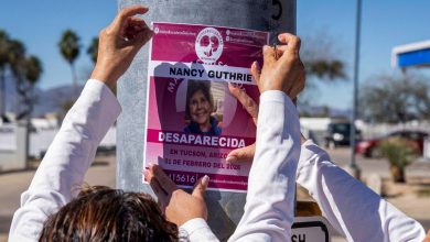 California man pleads guilty to sending false ransom note in Nancy Guthrie disappearance
