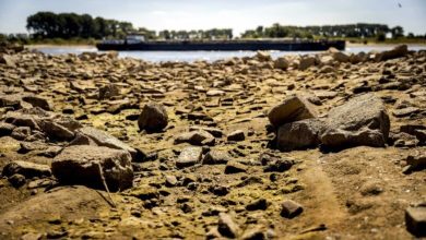 Europe’s Heatwave Is Becoming an Energy Crisis