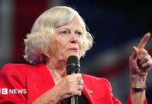 Police continue to question suspect over Ann Widdecombe murder