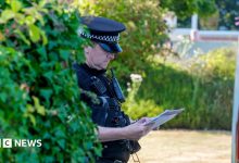 Ann Widdecombe murder probe: What we know so far