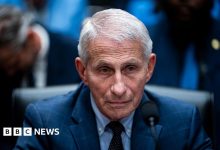 Anthony Fauci refuses to answer questions during tense US Senate hearing about Covid origins