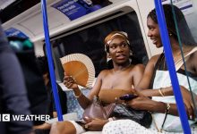 Amber heat health alerts to come into force as heatwave reaches 35C peak