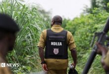 How Mexican drug cartels have outsourced meth labs to Nigeria