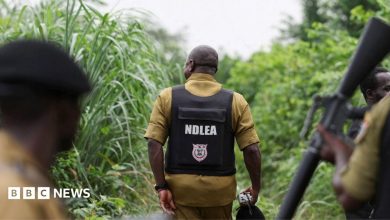How Mexican drug cartels have outsourced meth labs to Nigeria