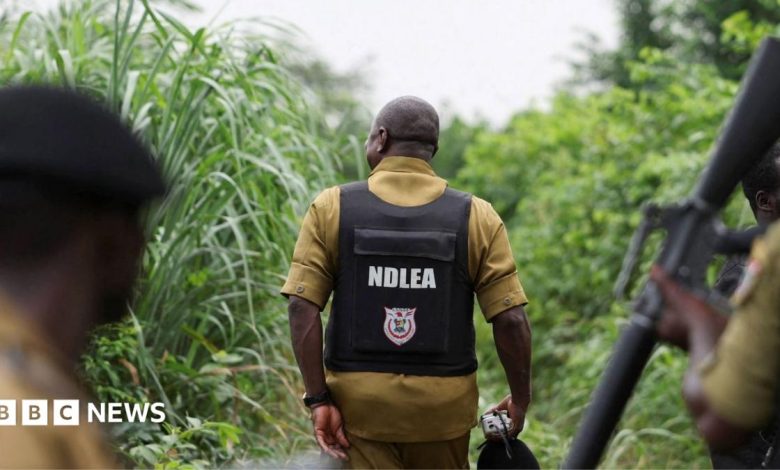 How Mexican drug cartels have outsourced meth labs to Nigeria