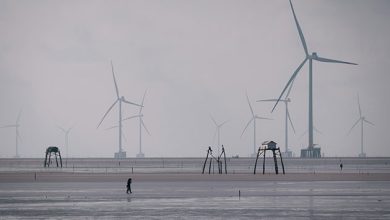Green transition: Pay the Least, Benefit the Most