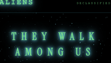 ‘They walk among us.’ The White House’s Aliens page and the dehumanisation of undocumented migrants