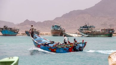 Live updates: US signals pause in Iran strikes will allow talks to progress