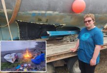 Humpback whale sinks family’s sailboat in Alaska: ‘Heard a giant thud’