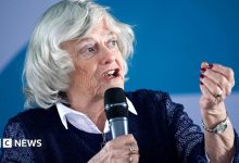 Ann Widdecombe killed in ‘targeted attack’, counter terror police say