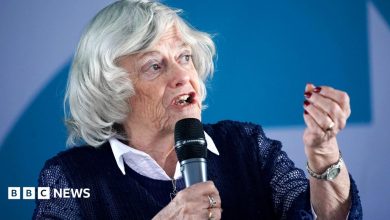 Ann Widdecombe killed in ‘targeted attack’, counter terror police say