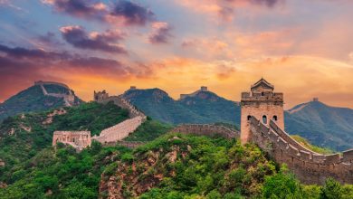 China Focus: Coca-Cola’s localisation strategy, protein innovation and sustainability push