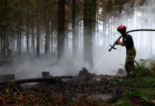 Devastating Belgian wildfire moves toward Germany as blazes break out in Greece, France: ‘Will take decades to recover’