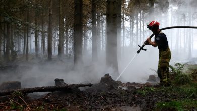 Devastating Belgian wildfire moves toward Germany as blazes break out in Greece, France: ‘Will take decades to recover’