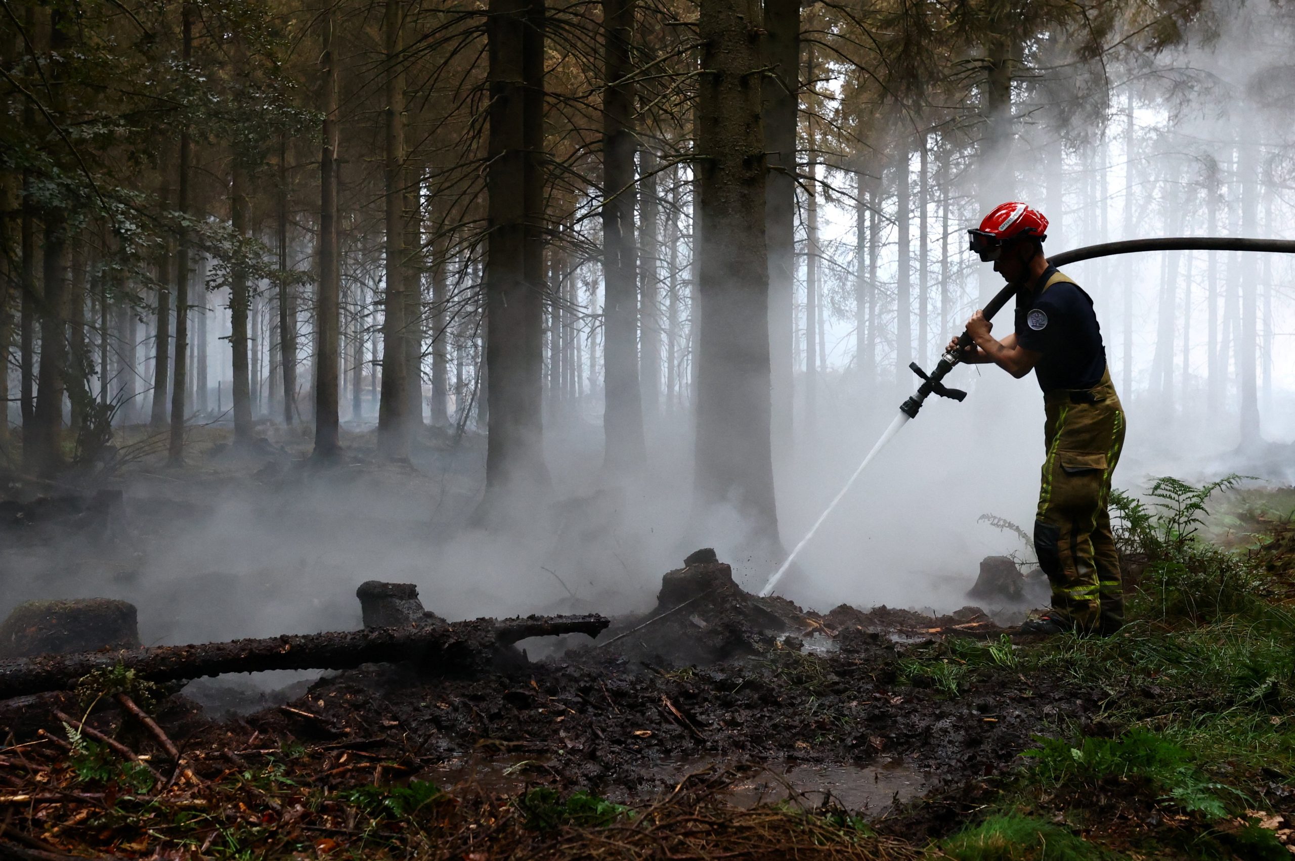 Devastating Belgian wildfire moves toward Germany as blazes break out in Greece, France: ‘Will take decades to recover’