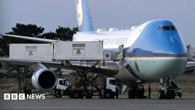 Members of Trump’s cabinet remained on decoy plane, after president’s quiet exit