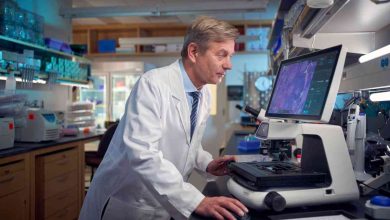 What the Microbiome Reveals About the Future of Cancer Research