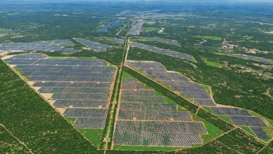 Scaling up in Brazil