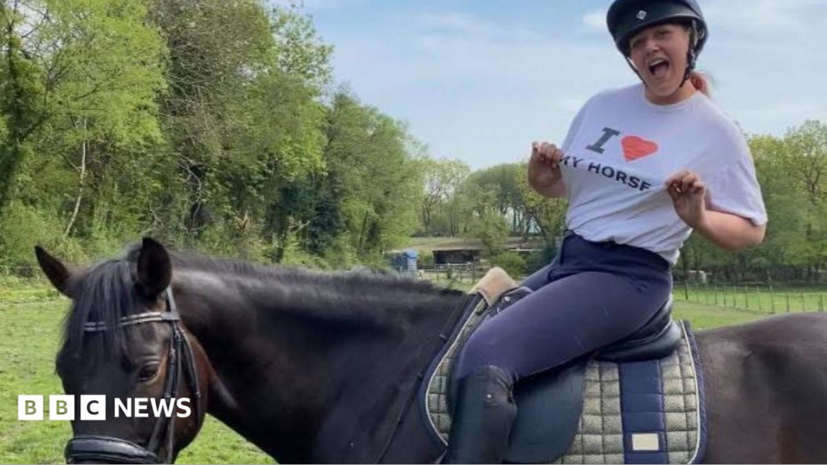 Facebook seller mis-sold me an unsafe horse that kicked my daughter in the head