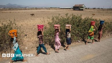 El Niño weather system set to be ‘strongest in living memory’, warns Met Office