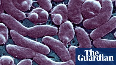 Louisiana warns beachgoers amid surge in flesh-eating bacteria infections