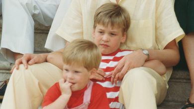 How Prince William and Harry will privately honor Princess Diana on 29th anniversary of tragic death