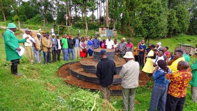 Africa Has the Answers to Its Food Security Challenges. What It Needs Is the Architecture to Act on Them