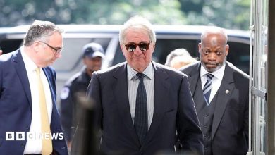 US billionaire Leon Black defies summons and sues Epstein panel