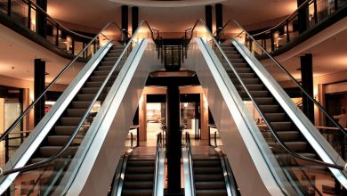 How ‘hyperselection’ is making modern life efficient, pleasant – and boring