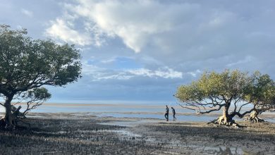 How Indigenous Protected Areas became a vital way to protect nature in Australia