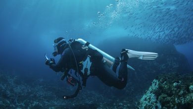 We’re not protecting our oceans as well as we think: new research