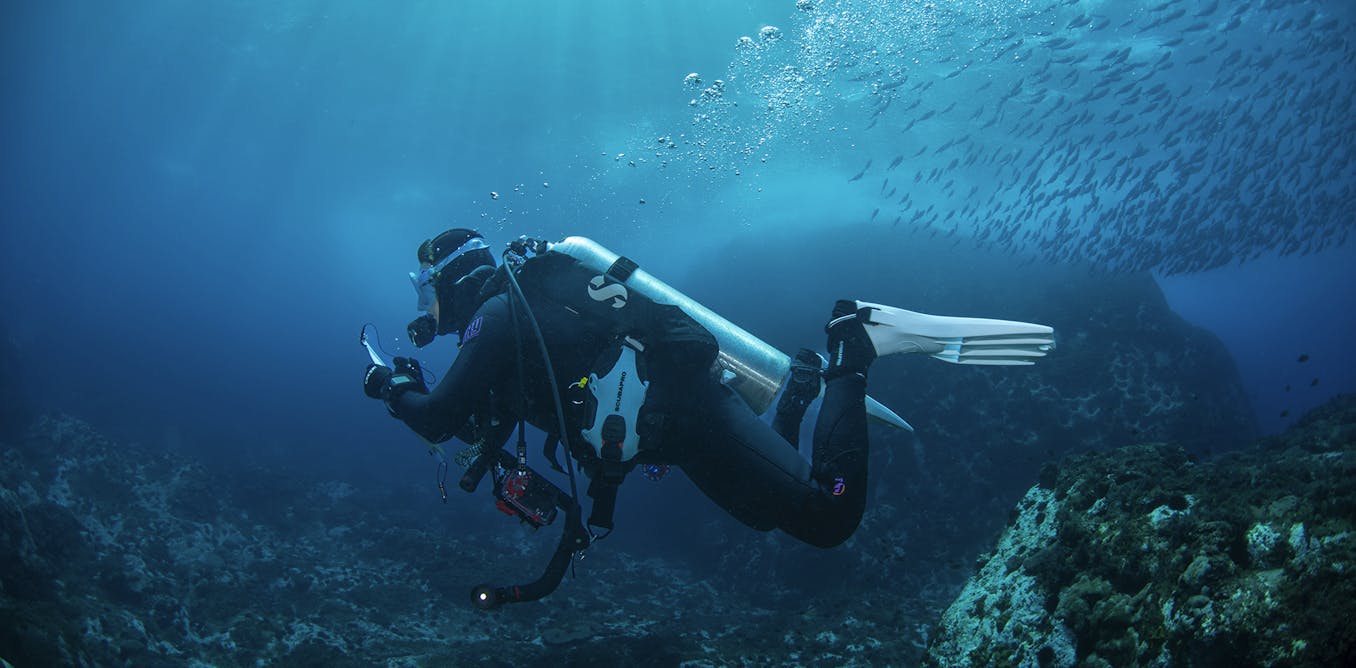 We’re not protecting our oceans as well as we think: new research