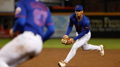 Prospects Mitch Voit and Jonathan Santucci making Mets take notice with award-winning seasons