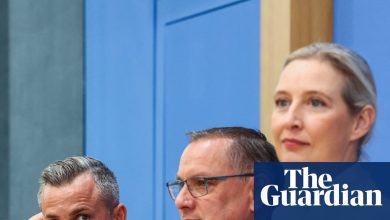 Germany’s far-right AfD thanks Elon Musk as France warns state election win a ‘serious moment’