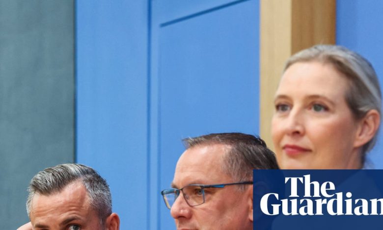 Germany’s far-right AfD thanks Elon Musk as France warns state election win a ‘serious moment’