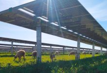 Turkey Bets $108 Billion on Wind and Solar While Expanding Oil and Gas