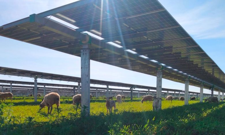 Turkey Bets $108 Billion on Wind and Solar While Expanding Oil and Gas