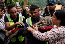 Nepal flood death toll surges as 65 Americans listed among hundreds of people still missing