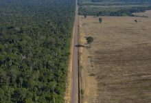 Brazil has made gains against Amazon deforestation, but lasting protection is a challenge