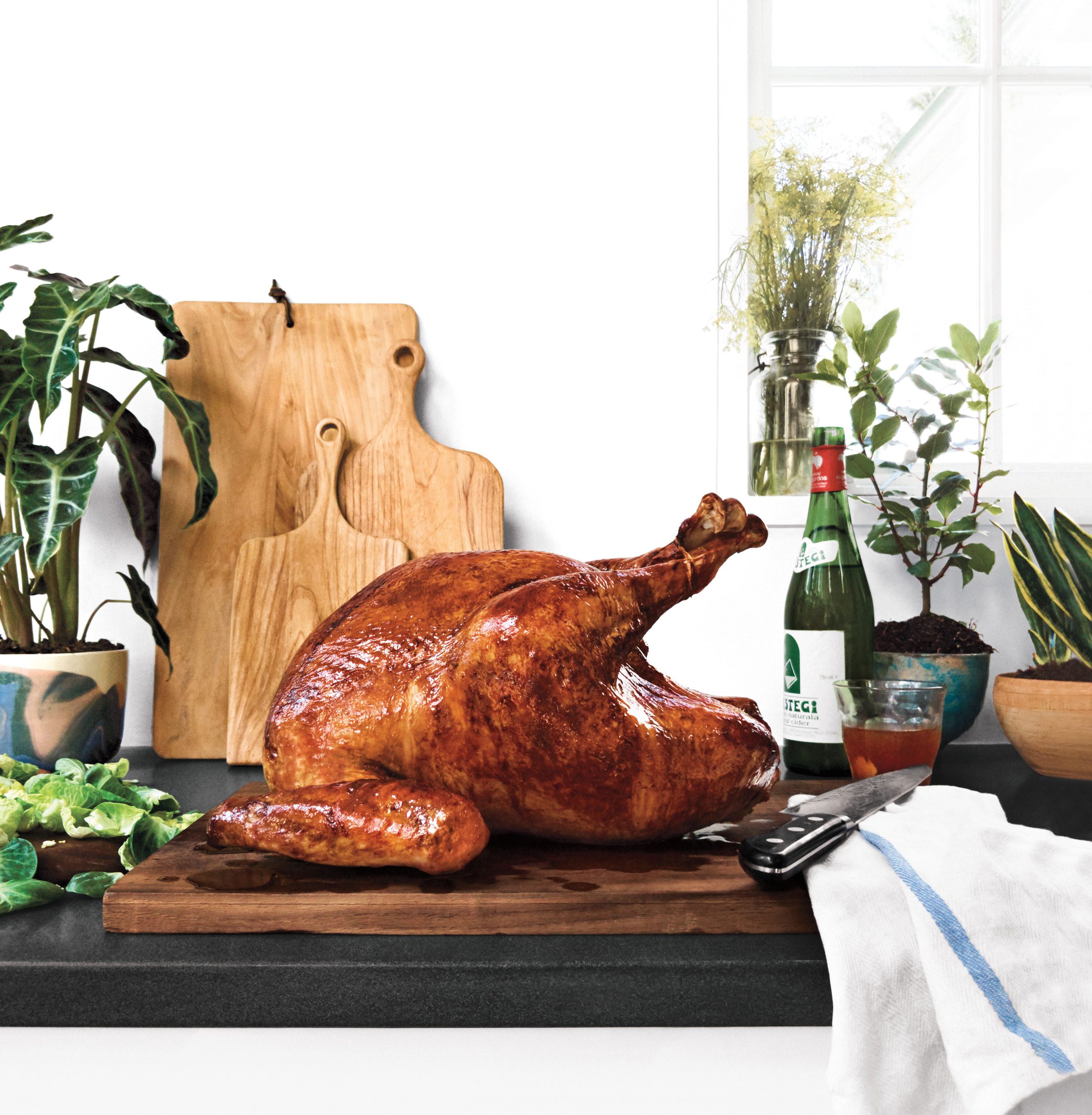 The Best Way to Cook a Thanksgiving Turkey
